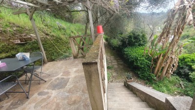 Rustico - Seravezza - Malbacco