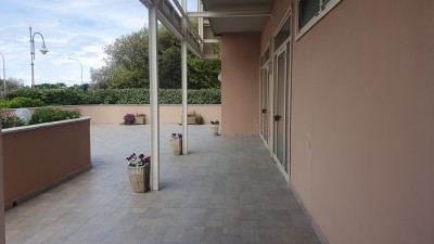 Appartamento - Pietrasanta - Marina di Pietrasanta