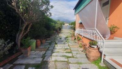 Indipendente - Seravezza - Querceta