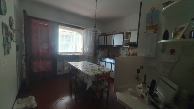 Villa - Pietrasanta - Valdicastello