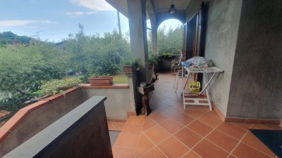 Villa - Pietrasanta - Valdicastello