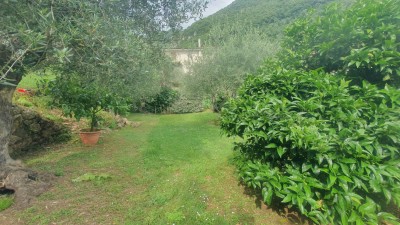 Villa - Pietrasanta - Valdicastello
