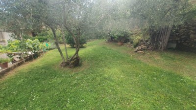 Villa - Pietrasanta - Valdicastello