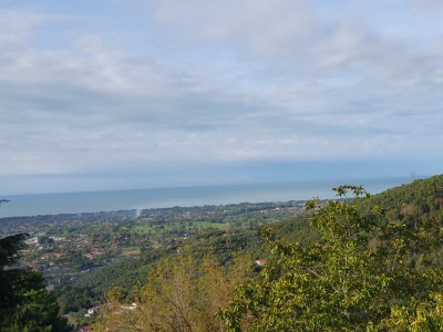 Casa - Pietrasanta - Strettoia