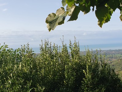 Casa - Pietrasanta - Strettoia