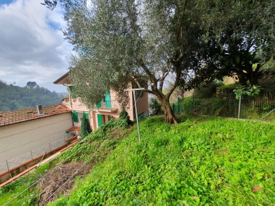 Terratetto - Pietrasanta - Solaio