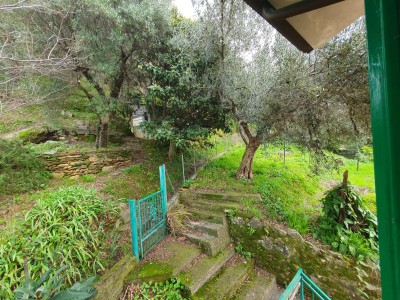 Terratetto - Pietrasanta - Solaio