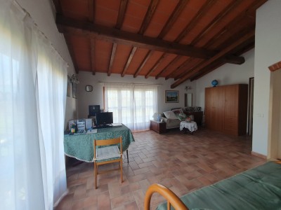 Villa - Pietrasanta - Marina di Pietrasanta