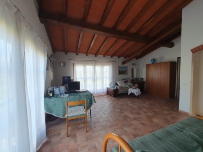 Villa - Pietrasanta - Marina di Pietrasanta