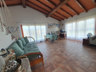 Villa - Pietrasanta - Marina di Pietrasanta