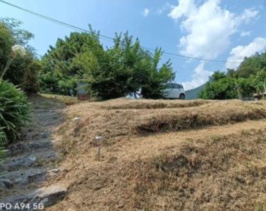 Agricoli - Pietrasanta - Strettoia