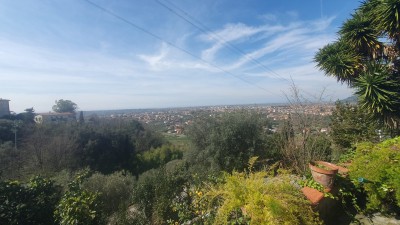 Terratetto - Pietrasanta - belvedere di Pietrasanta