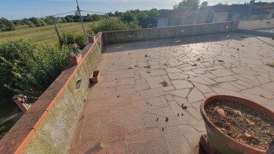 Appartamento - Camaiore - Capezzano