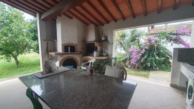 Porzione bifamiliare - Seravezza - Marzocchino
