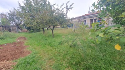 Porzione bifamiliare - Seravezza - Marzocchino