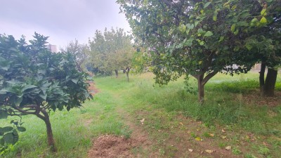 Porzione bifamiliare - Seravezza - Marzocchino