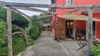 Casolare - Seravezza - Azzano