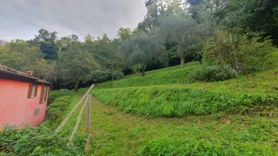 Casolare - Seravezza - Azzano