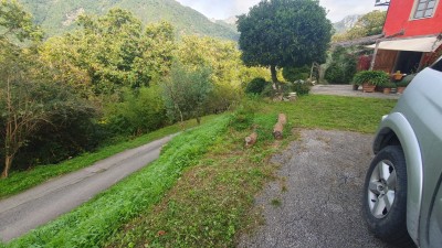 Casolare - Seravezza - Azzano