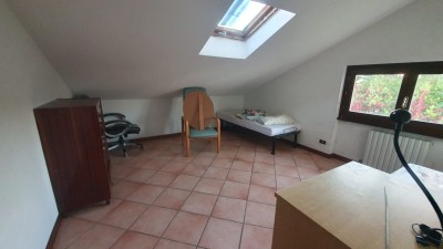 Villa - Pietrasanta - Marina di Pietrasanta