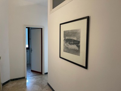 Appartamento - Pietrasanta - Marina di Pietrasanta
