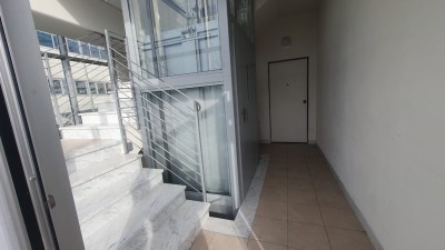 Capannone - Pietrasanta - Iare