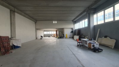Capannone - Pietrasanta - Iare