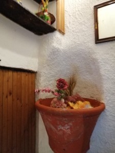 Terratetto - Stazzema - Stazzema