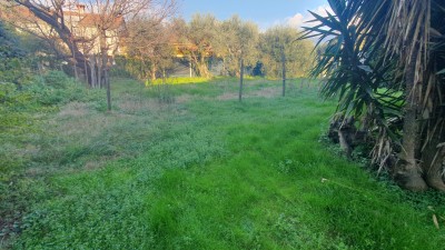 Villa - Seravezza - Querceta