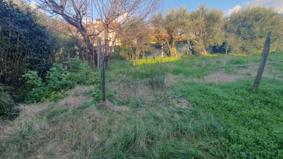 Villa - Seravezza - Querceta