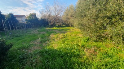 Villa - Seravezza - Querceta