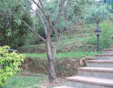 Porzione di casale - Seravezza - Monte di Ripa