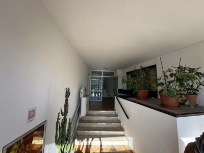 Appartamento - Pietrasanta - Marina di Pietrasanta