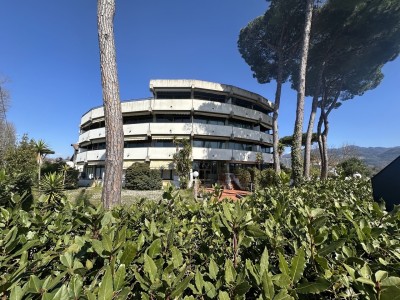 Appartamento - Pietrasanta - Marina di Pietrasanta