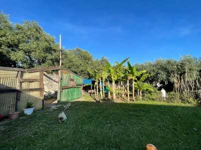 Terratetto - Seravezza - Querceta