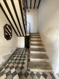 Terratetto - Seravezza - Querceta