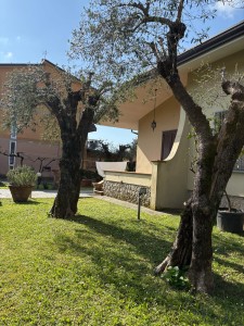 Semindipendente - Seravezza - Madonnina