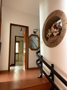 Semindipendente - Seravezza - Madonnina