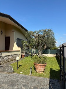 Semindipendente - Seravezza - Madonnina