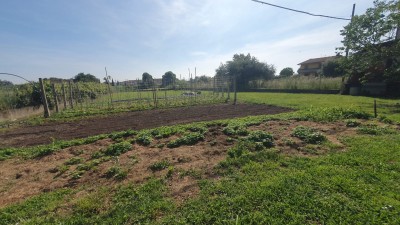 Villa - Pietrasanta - Montiscendi