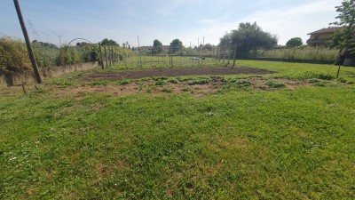 Villa - Pietrasanta - Montiscendi