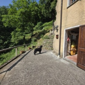 Porzione bifamiliare - Stazzema - Sant'anna di Stazzema