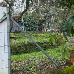 Porzione bifamiliare - Stazzema - Gallena