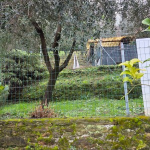 Porzione bifamiliare - Stazzema - Gallena