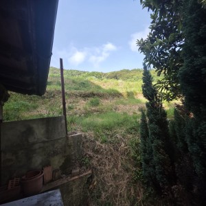Casa - Pietrasanta - Capezzano Monte