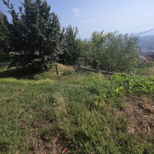 Casa - Pietrasanta - Capezzano Monte