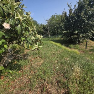 Casa - Pietrasanta - Capezzano Monte