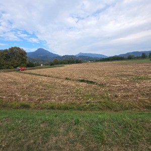 Casolare - Pietrasanta - Padule
