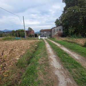 Casolare - Pietrasanta - Padule
