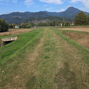 Casolare - Pietrasanta - Padule